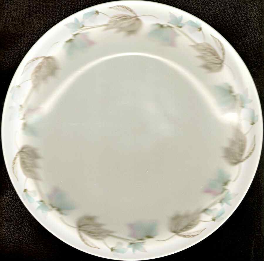 SXX6 Dinner Plate by Santa Clara (Spain)-1
