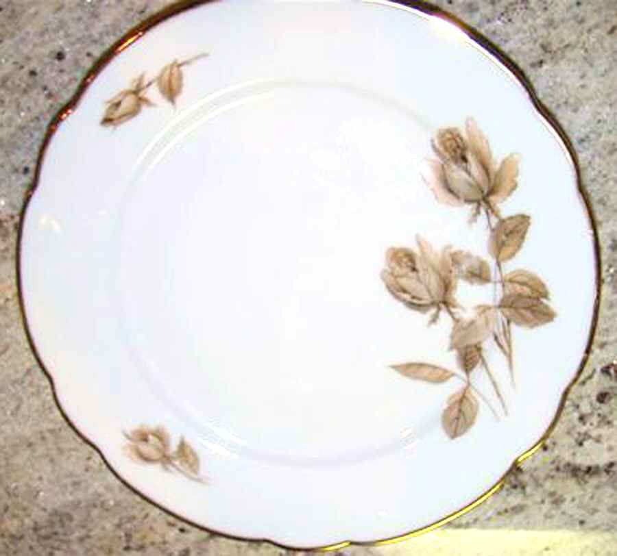 SLT390 Dinner Plate by Seltmann-1
