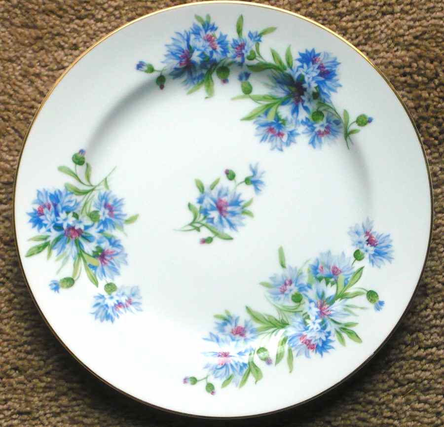 SAN111 Dinner Plate by Sango-1