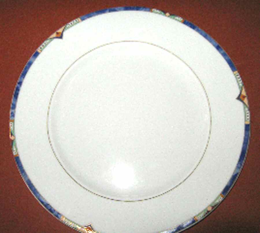 SCG89 Dinner Plate by Schirnding-1