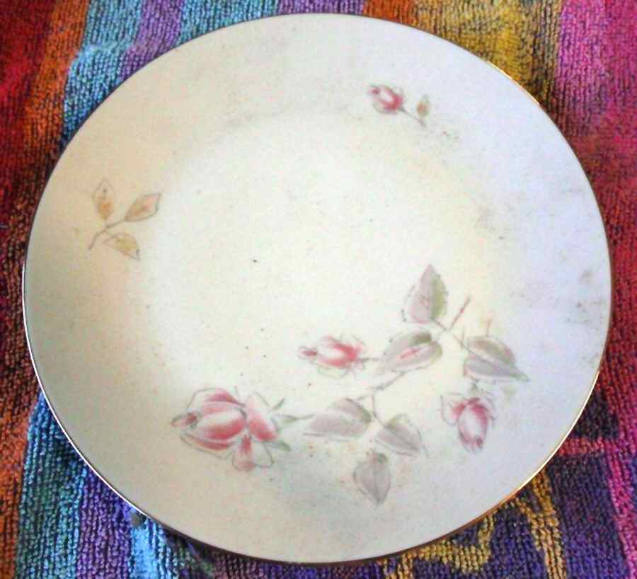 324 Dinner Plate by Scherzer-1