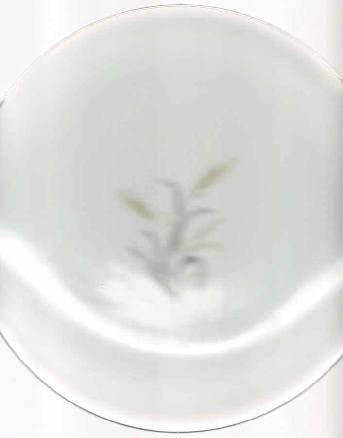 Wheaten Dinner Plate by Seyei Toki Co-1