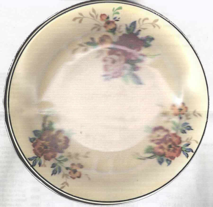 SEB137 Dinner Plate by Sebring Pottery-1
