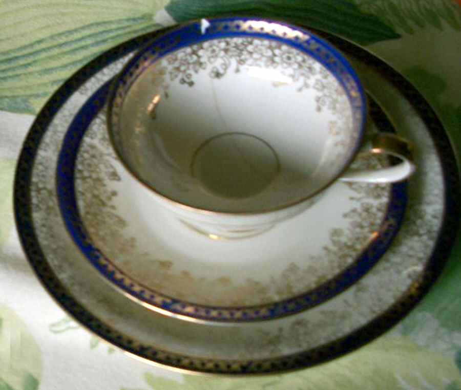 Scg92 Dessert/Pie Plate by Schirnding-1