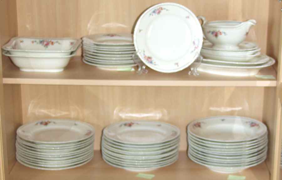 SCD119 Dinner Plate by Schonwald-1