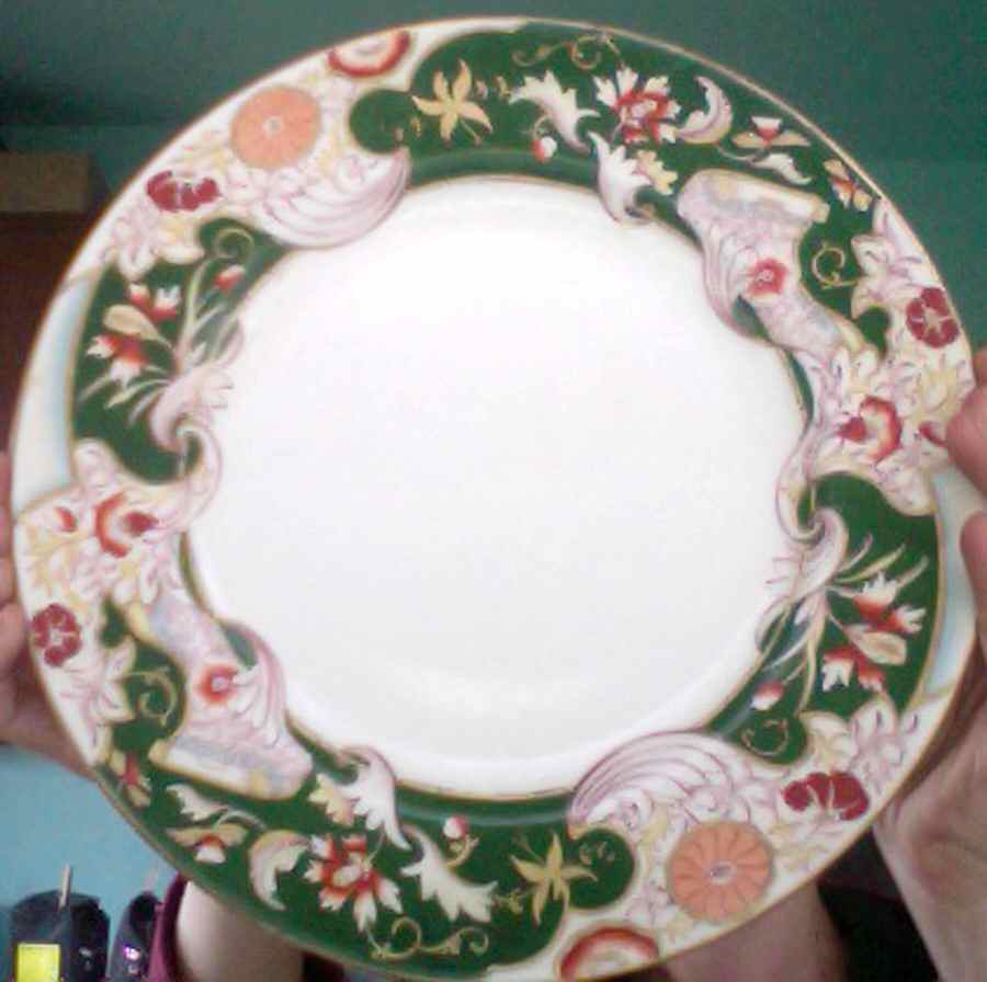 SP560 Dinner Plate by Spode-1