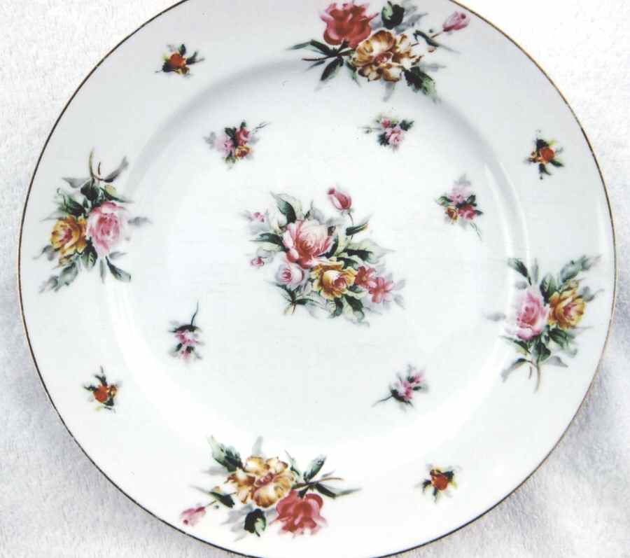 S4U1 Dinner Plate by Suisei China-1
