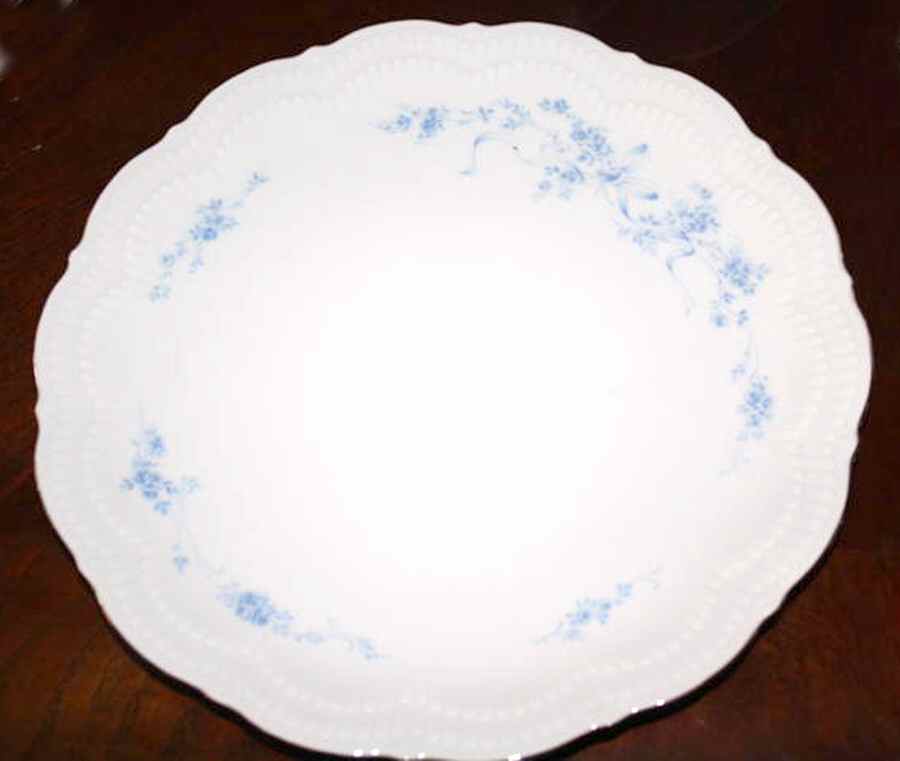 SCG96 Dinner Plate by Schirnding-1