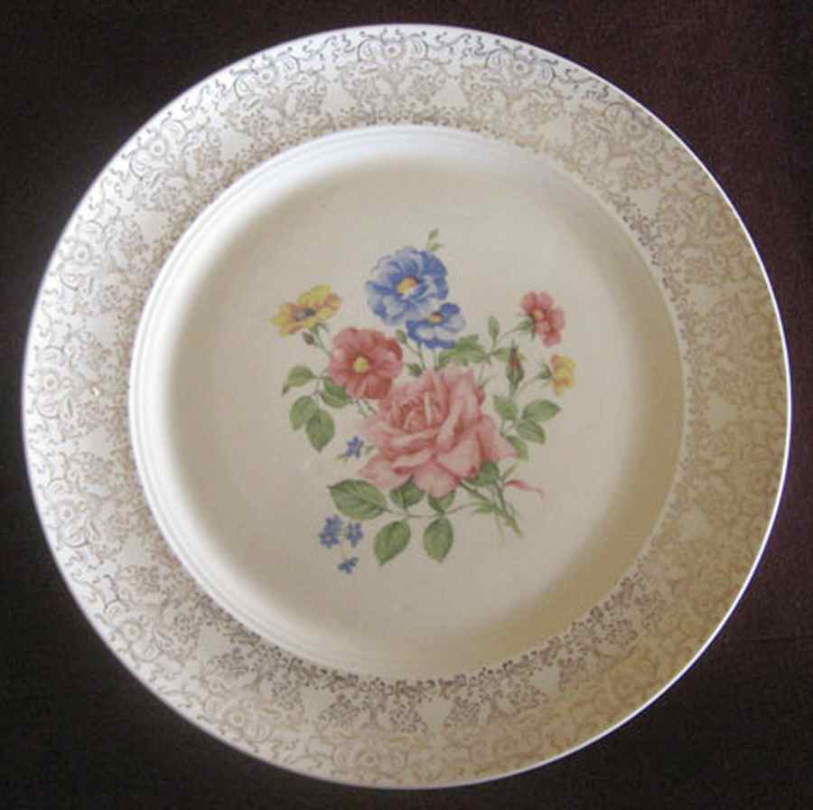 SLM354 Dinner Plate by Salem-1