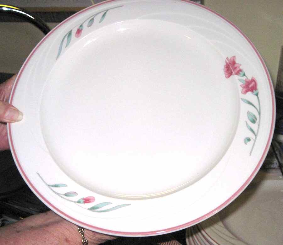 SY985 Dinner Plate by Syracuse-1