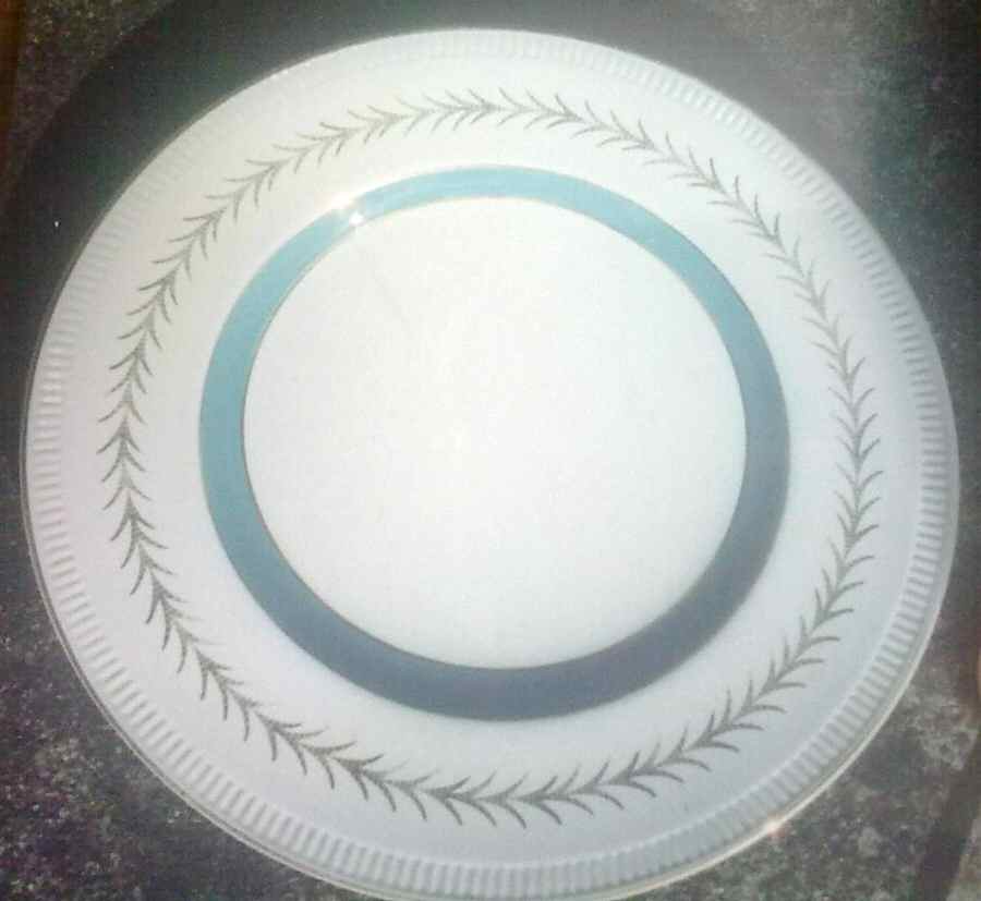 SIM45 Dinner Plate by Simpsons-1