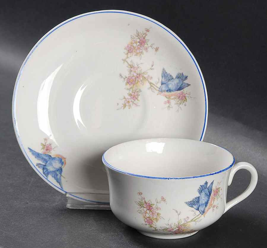 Blue Bird Flat Cup & Saucer Set by Steubenville-1