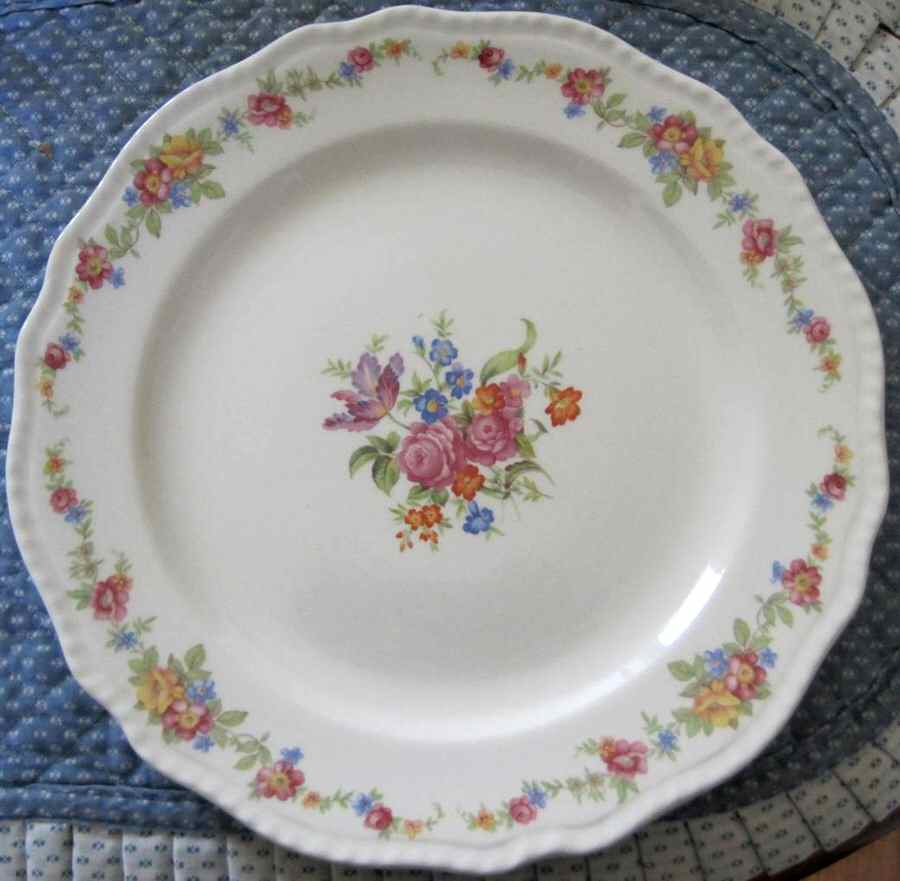 STB369 Dinner Plate by Steubenville-1