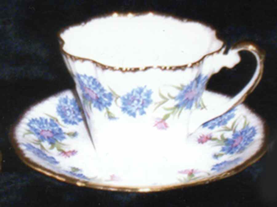 Harvest Time Flat Cup & Saucer Set by Salisbury-1
