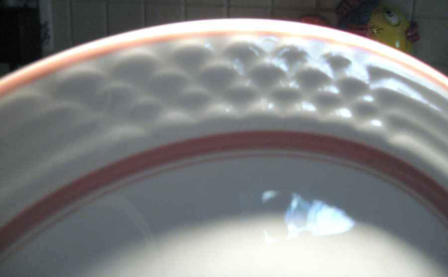 STR129 Dinner Plate by Sterling China (USA)-1