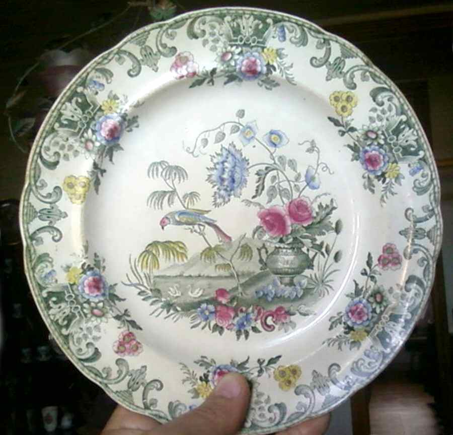New Fayence Dinner Plate by Spode-1