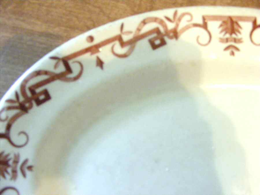 SHO343 Dinner Plate by Shenango-1