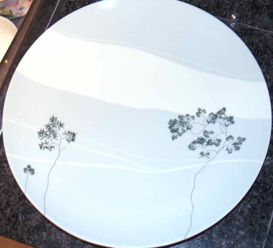 SPZ15 Dinner Plate by Spal Porcelanas-1