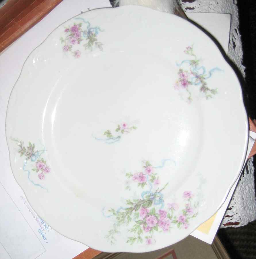 SY1038 Dinner Plate by Syracuse-1