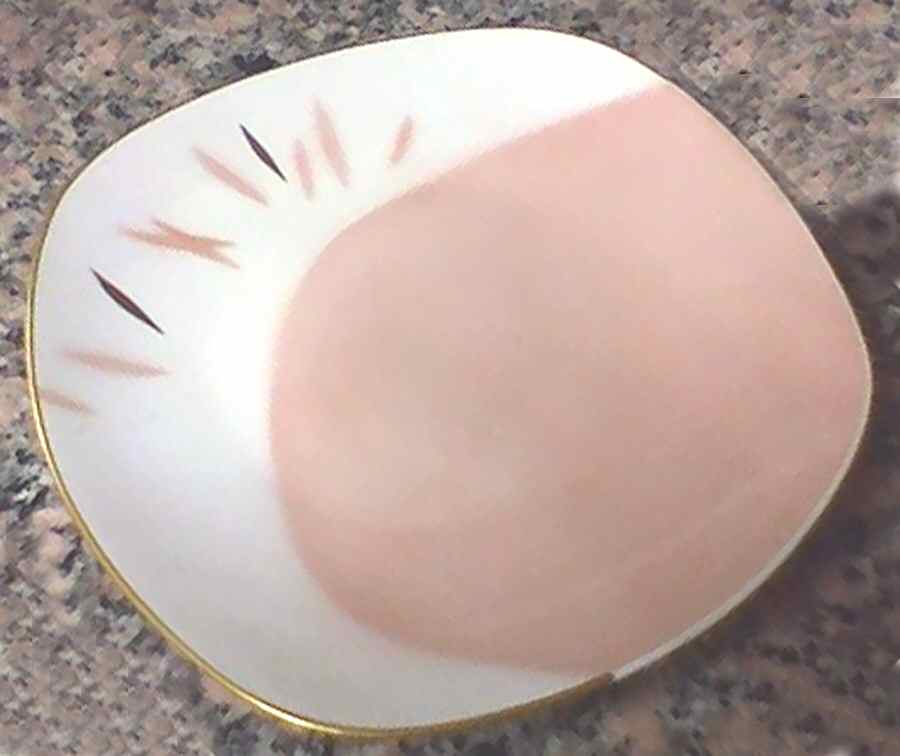SAN114 Dinner Plate by Sango-1
