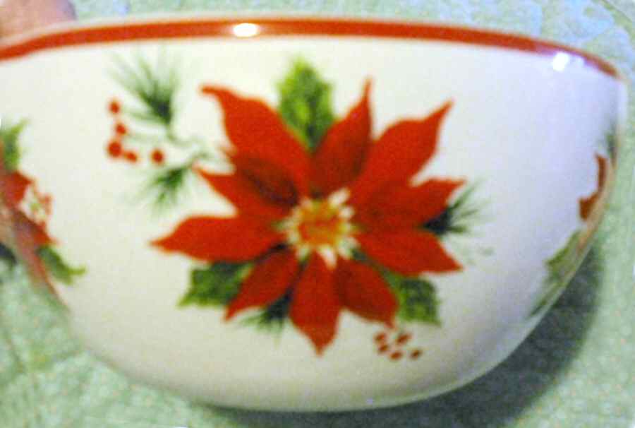 Poinsettia Individual Soup/Salad Bowl by Sonoma Home-1