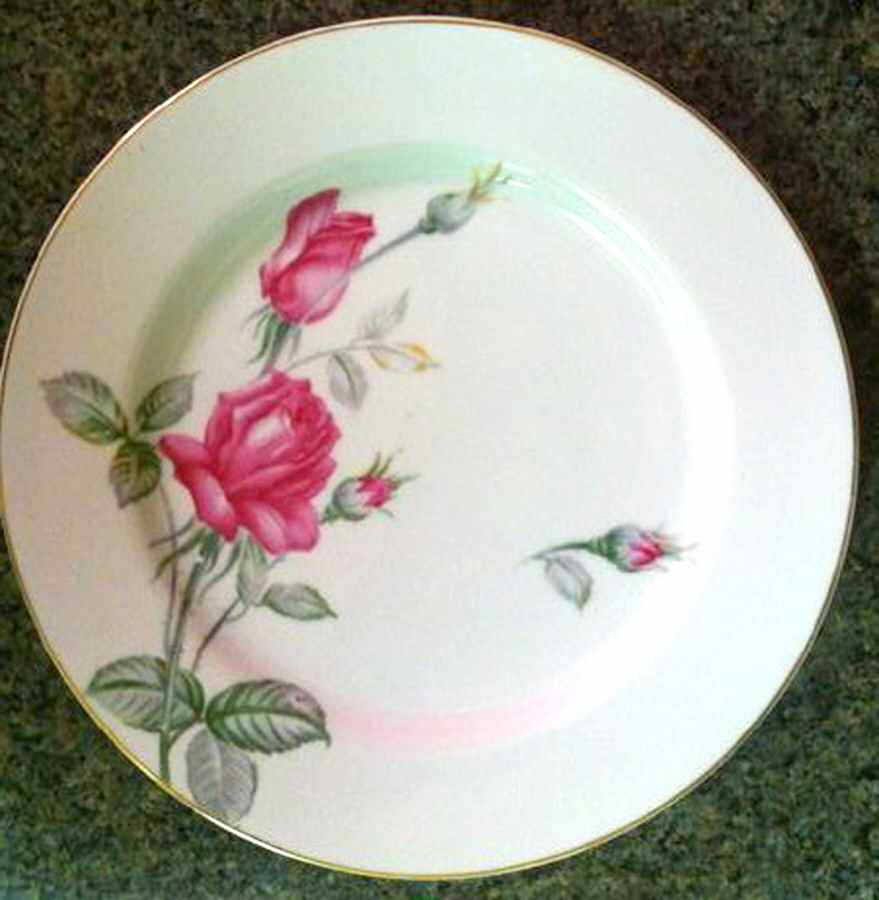 SPR3 Dinner Plate by Spring China-1