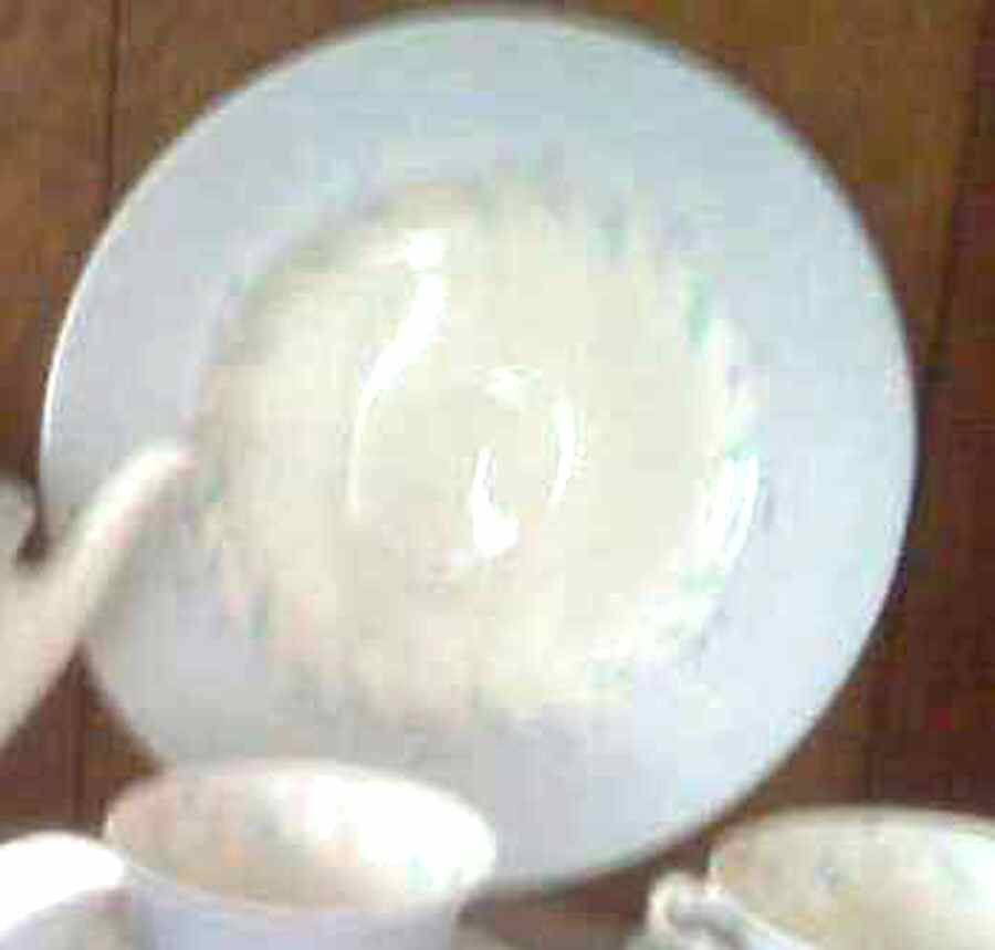 Priscilla Dinner Plate by Syracuse-1
