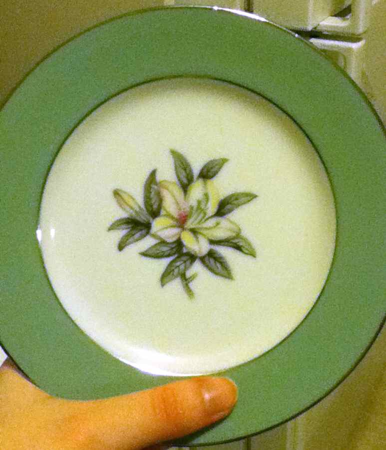 81900RB Salad Plate by Sone-1