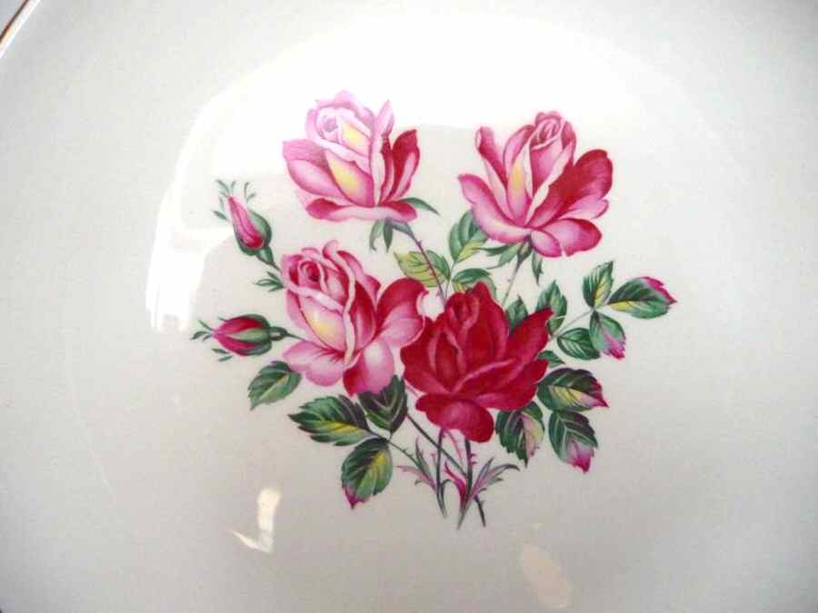 SWI165 Bread & Butter Plate by Swinnertons-1