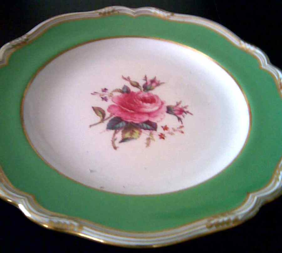 SP575 Dinner Plate by Spode-1