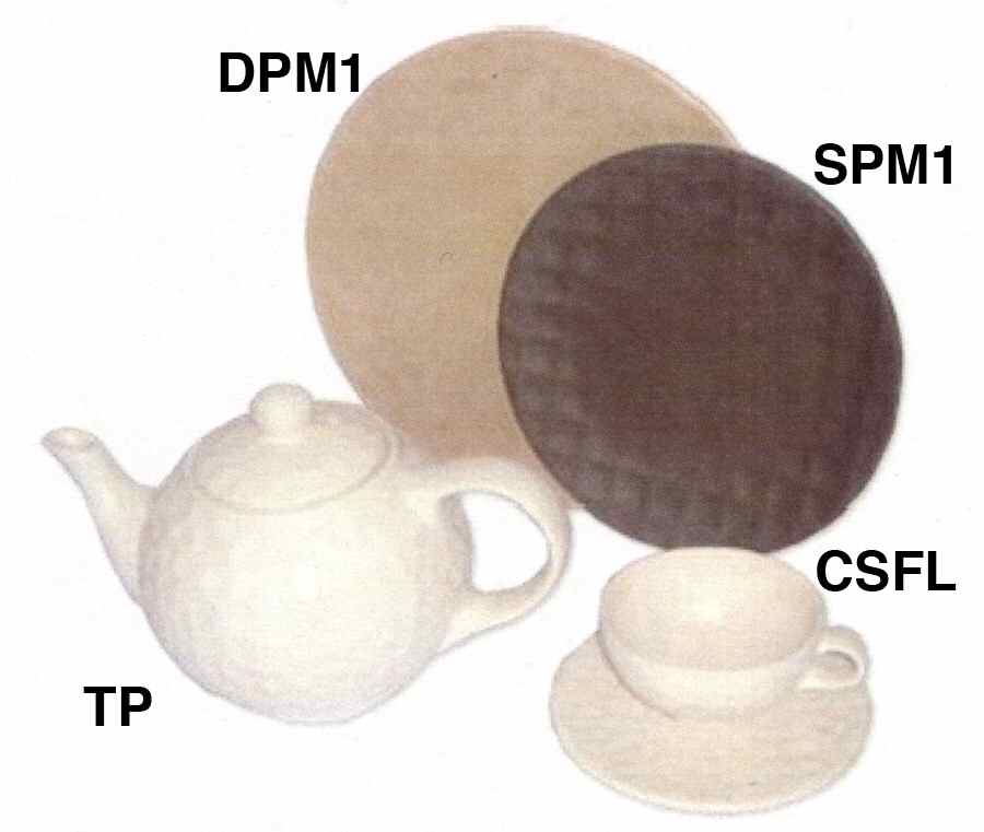 Line Beige Dinner Plate by Secla-1
