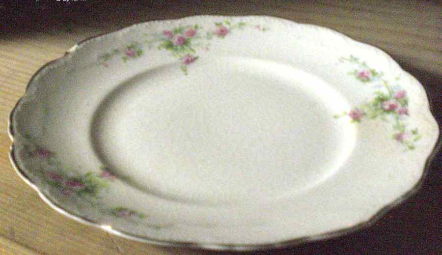 SPY4 Salad Plate by Standard Pottery-1