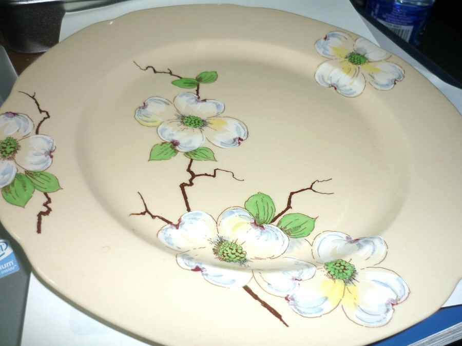 Dogwood (Adobe Ware) Dinner Plate by Syracuse-1