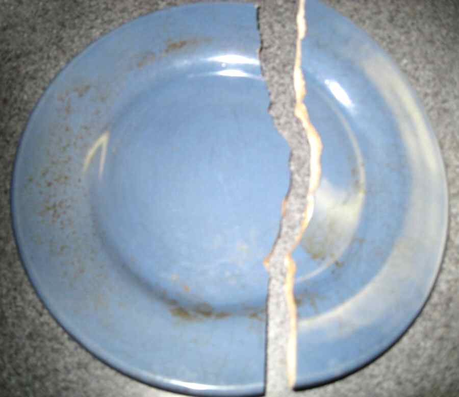 Lucca Light Blue Dinner Plate by Signature-1
