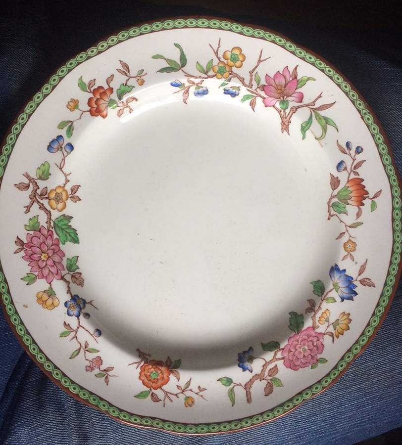 1311 Dinner Plate by Spode-1