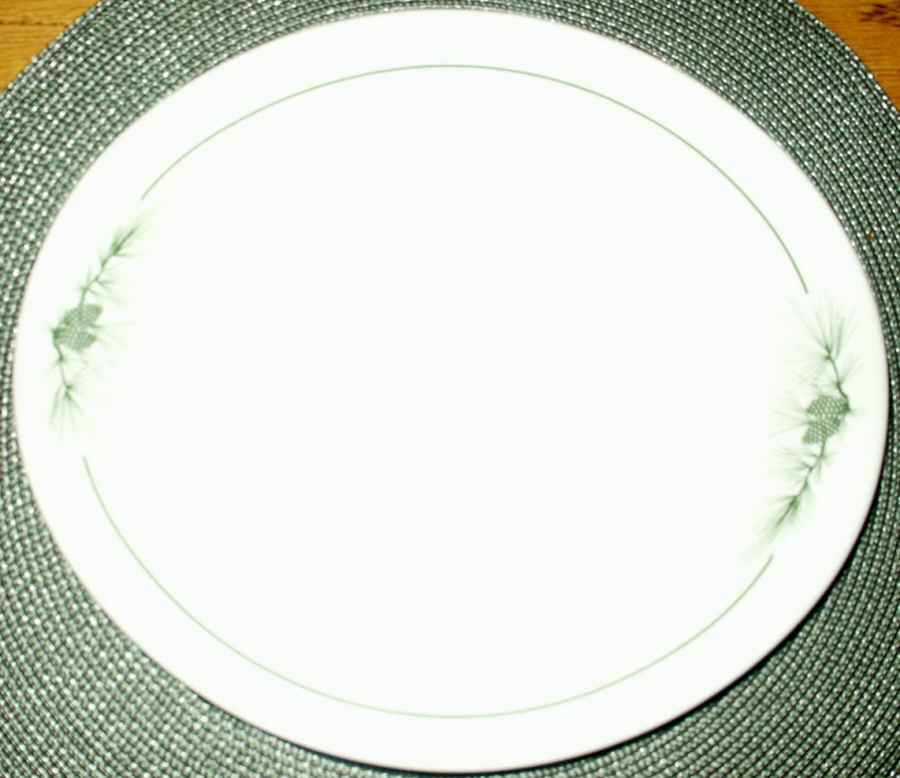 SY514 Dinner Plate by Syracuse-1