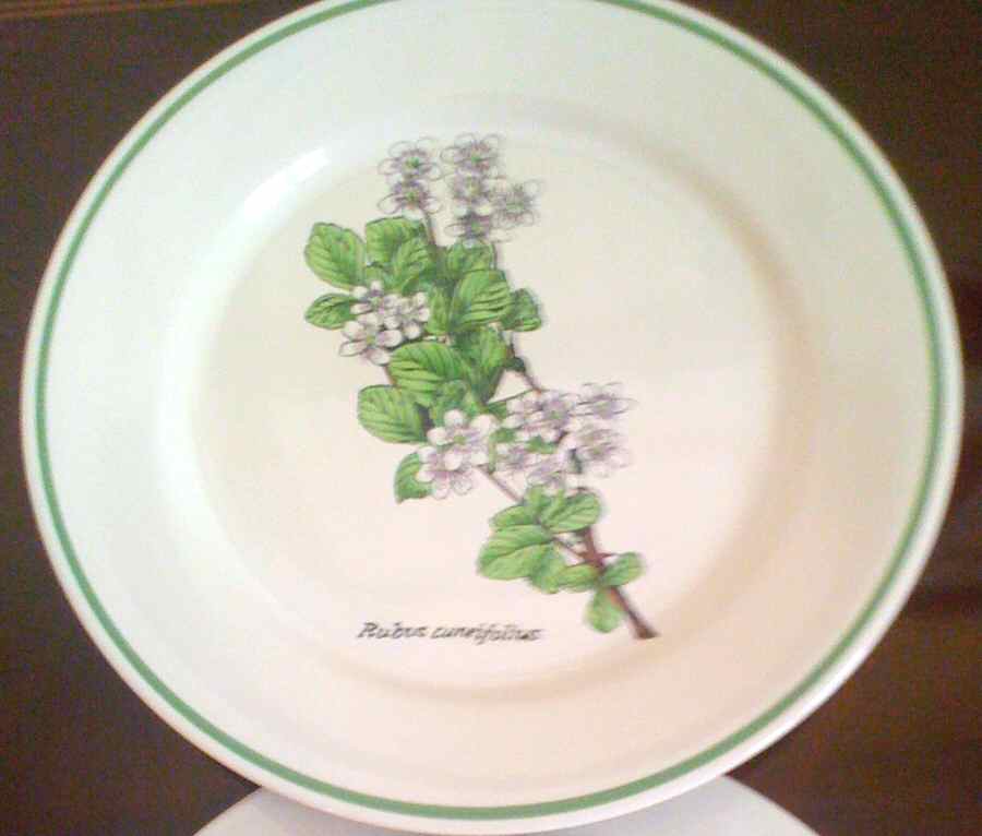 Kensington Gardens Salad Plate by Signature-1