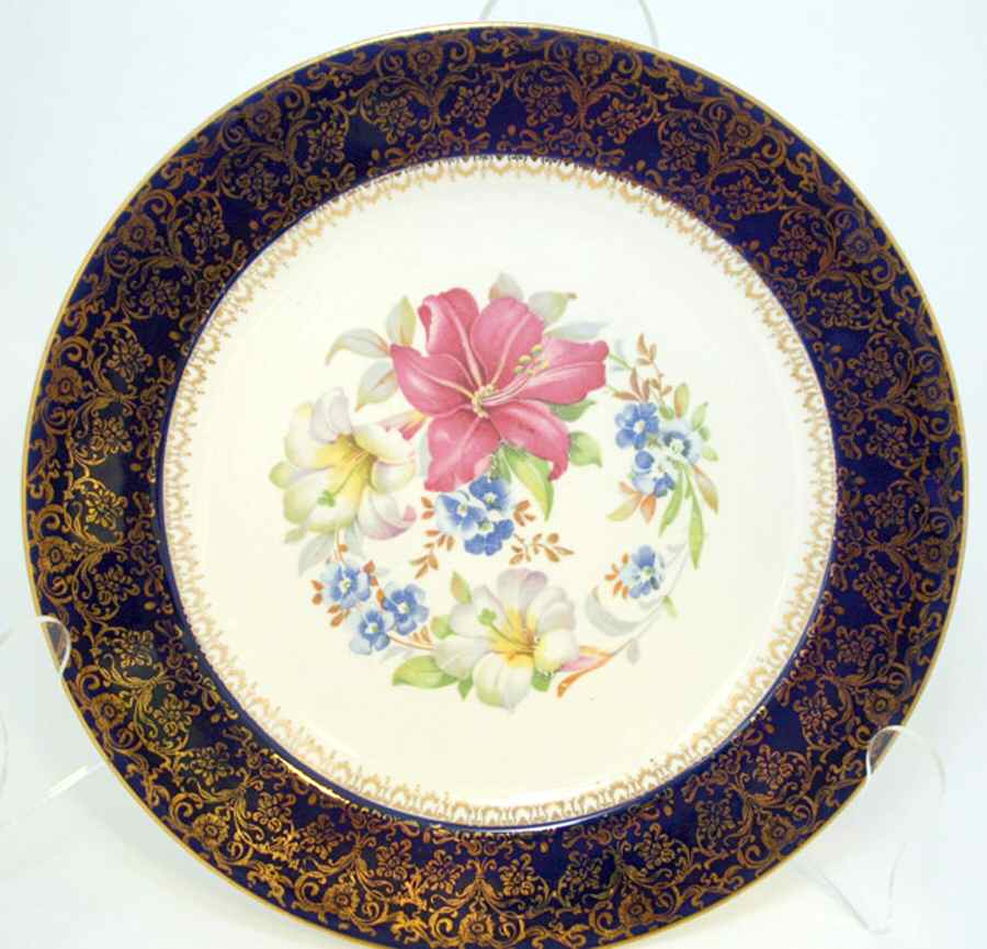 SLM363 Dinner Plate by Salem-1
