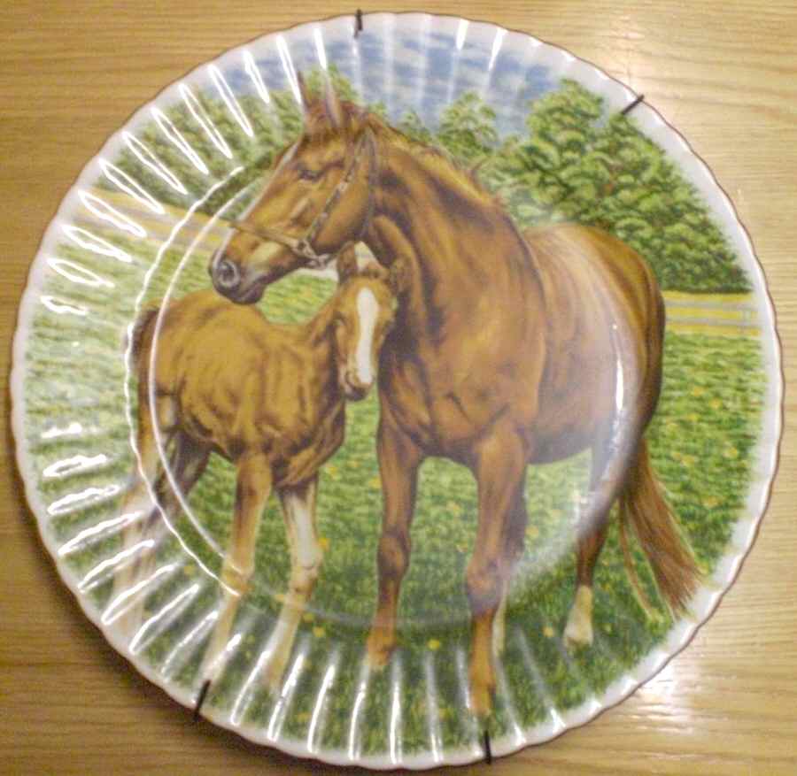 SUT62 Dinner Plate by Sutherland-1