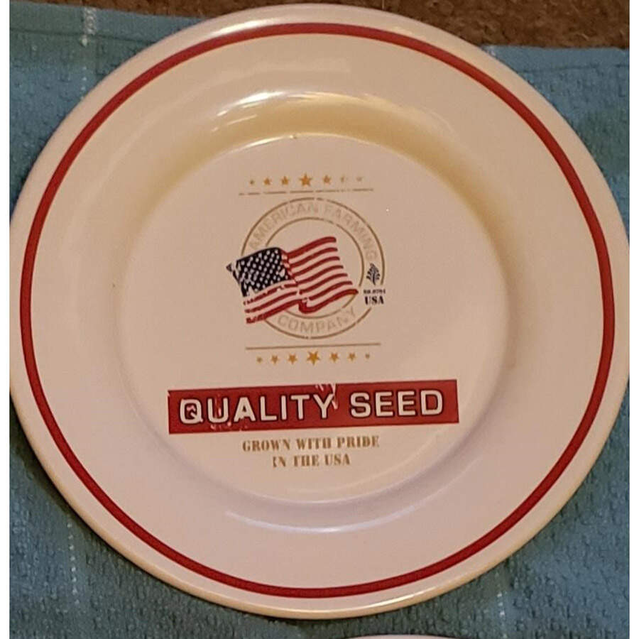 American Heritage Bread & Butter/Canape Plate by Sonoma Home-1