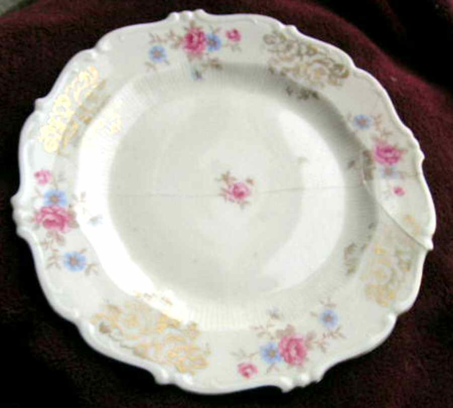 SCG104 Dinner Plate by Schirnding-1