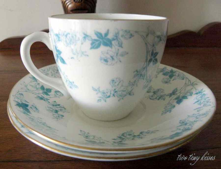H10047 Flat Cup & Saucer Set by Shelley-1