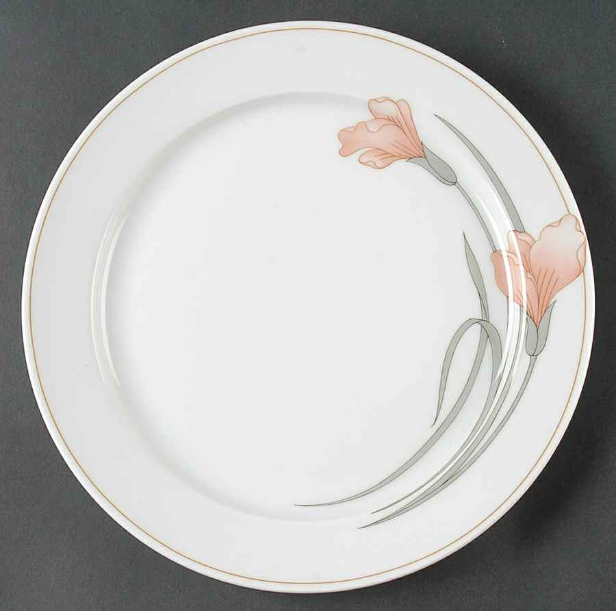 4389 Dinner Plate by Schonwald-1