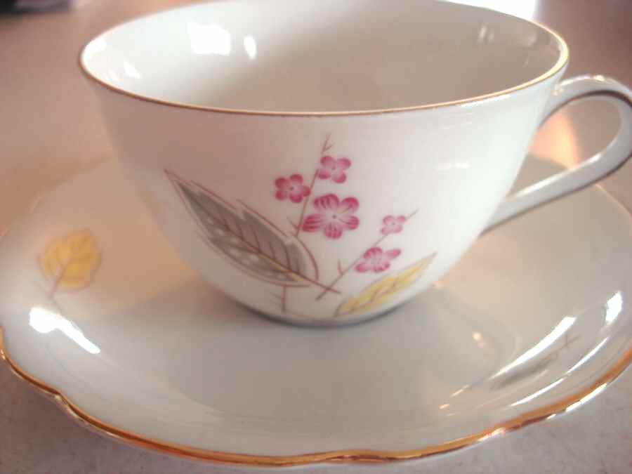 SLT414 Flat Cup & Saucer Set by Seltmann-1