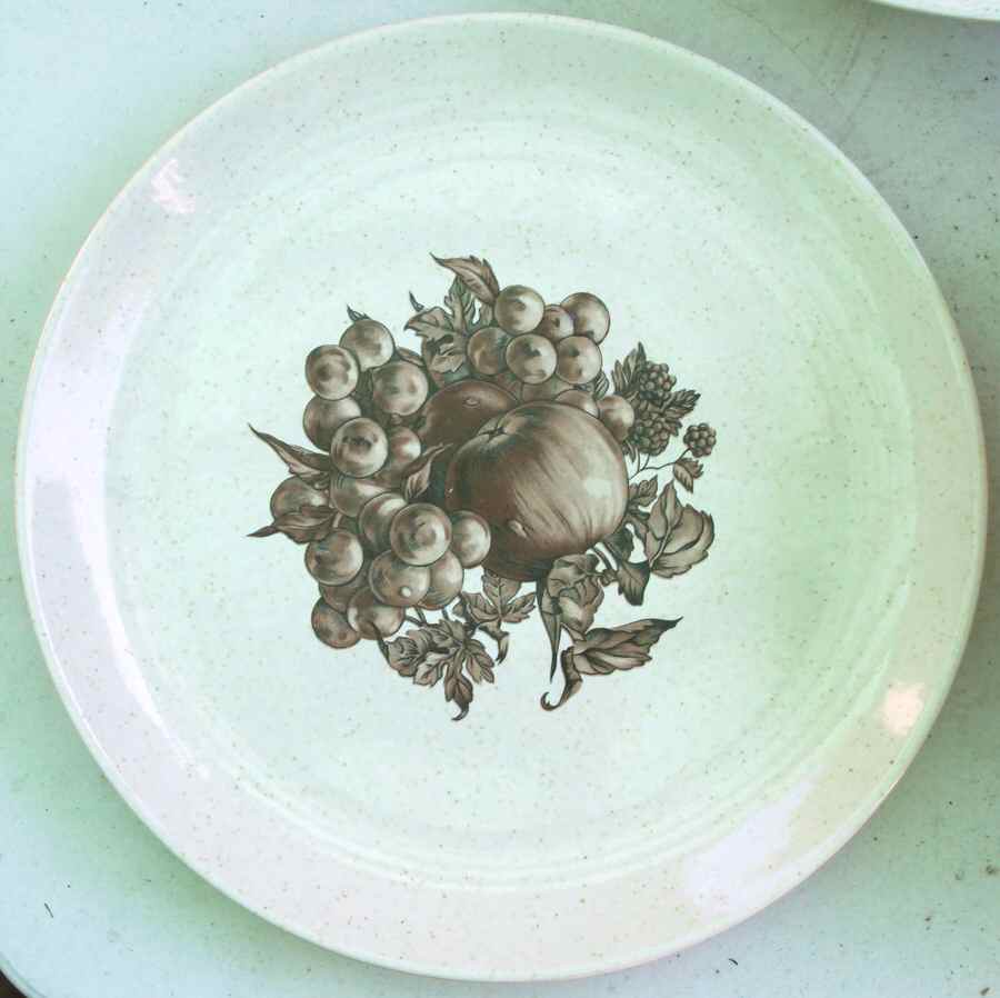 SLM369 Dinner Plate by Salem-1