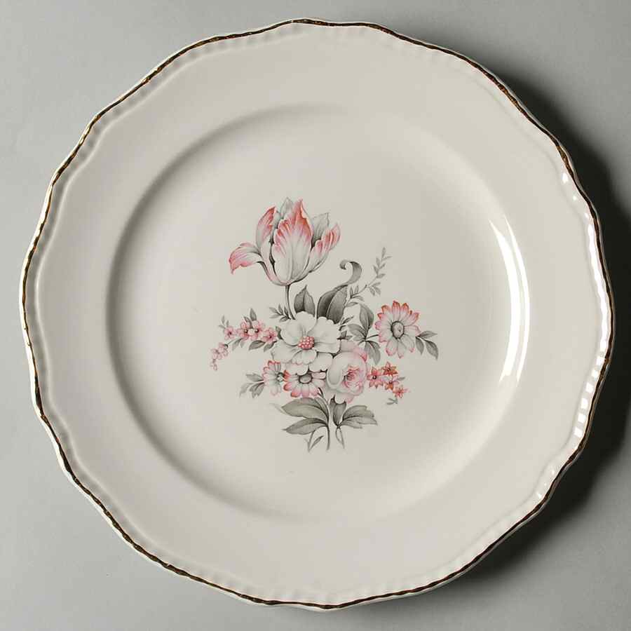 STB380 Dinner Plate by Steubenville-1