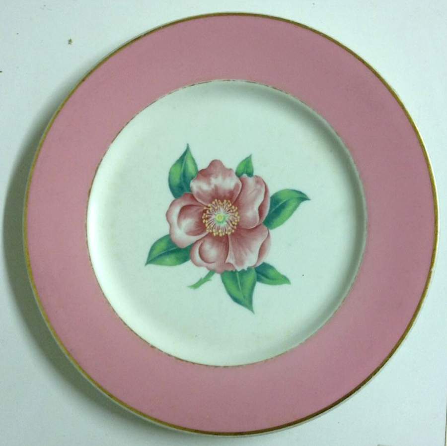 SY1062 Dinner Plate by Syracuse-1