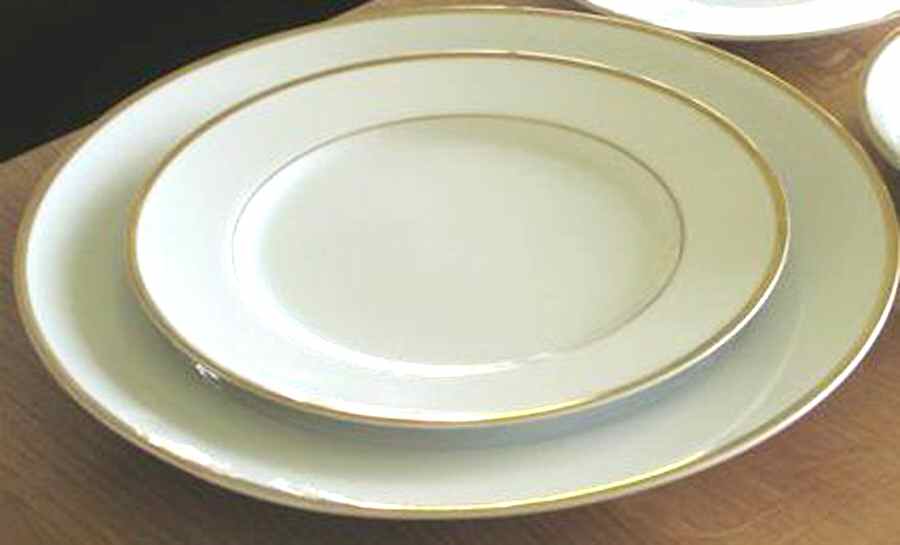 S6D1 Dinner Plate by Shannondoa-1