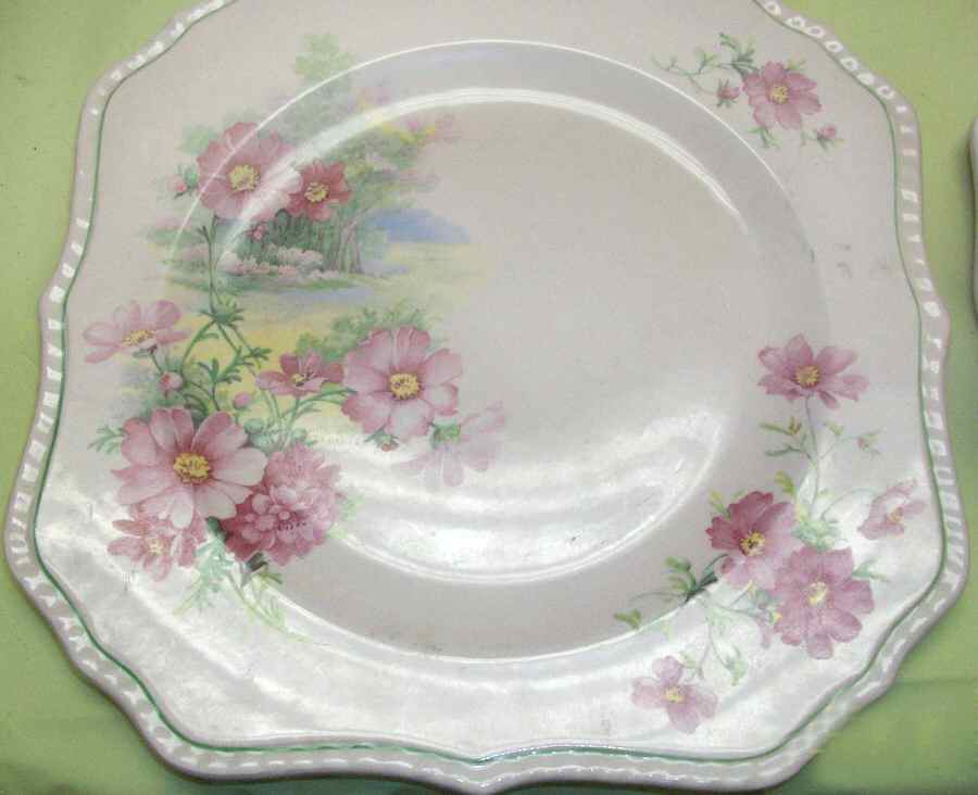 STB383 Dinner Plate by Steubenville-1