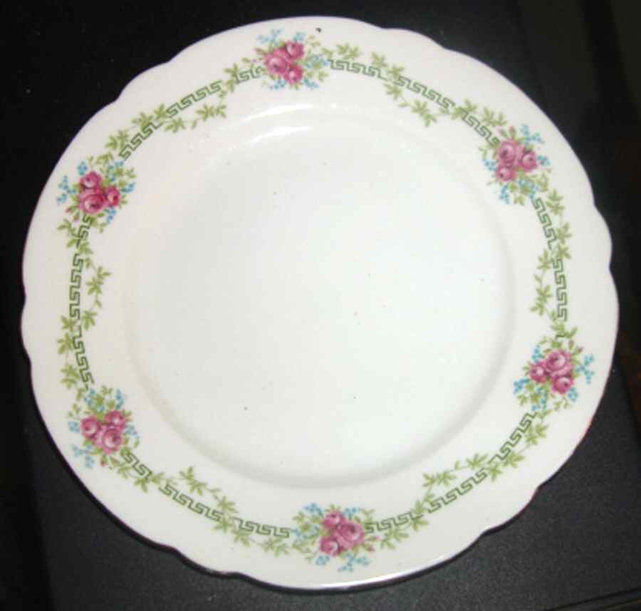 SHE73 Dinner Plate by Shelley-1